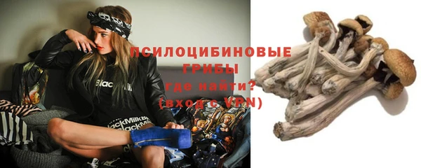 гидропоника Янаул