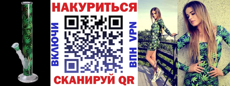 Канабис конопля Стародуб